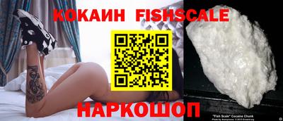 шишки Сланцы