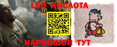 шишки Сланцы