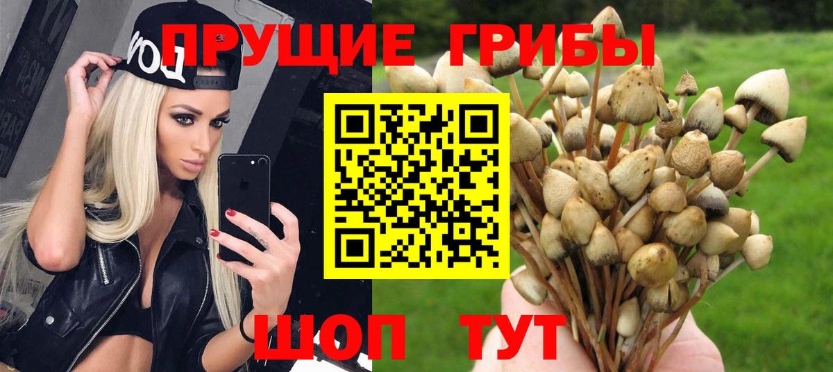 Галлюциногенные грибы MAGIC MUSHROOMS Соликамск